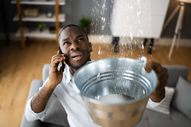 Best Water damage contractors near me  in Barnesville, OH