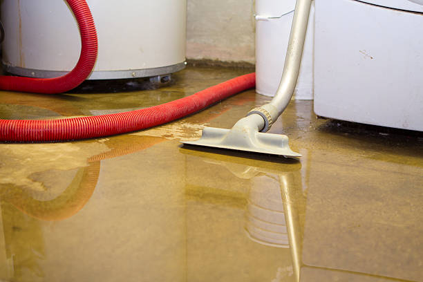 Best Residential water damage restoration  in Barnesville, OH