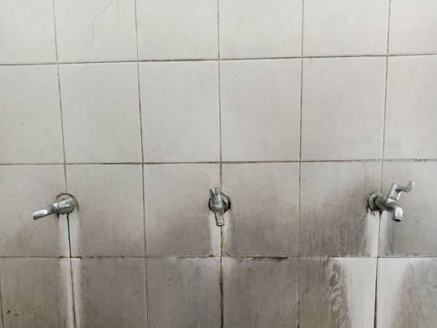 Best Commercial water damage restoration  in Barnesville, OH